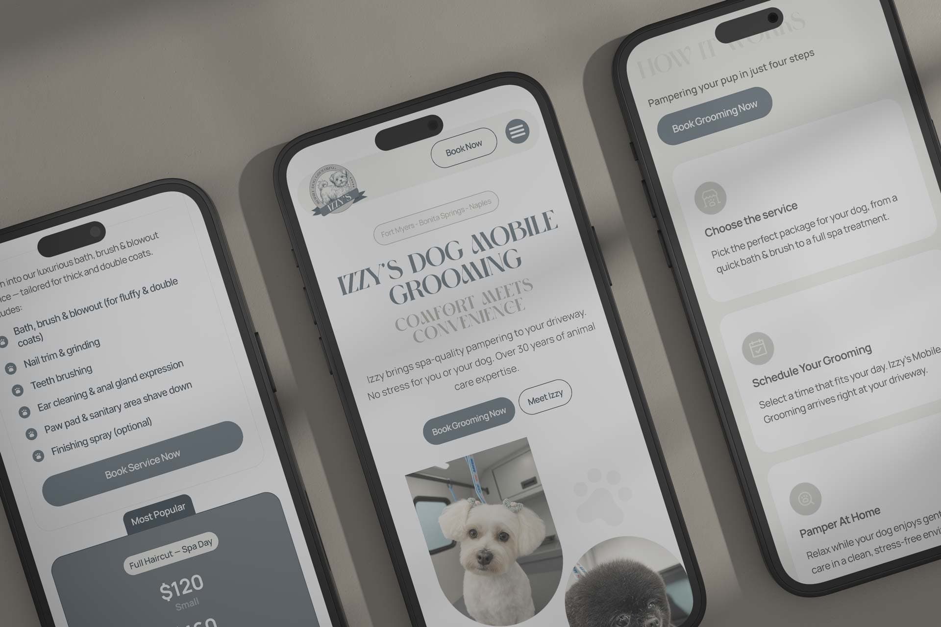 Site de agendamento que transforma tutores em clientes 1