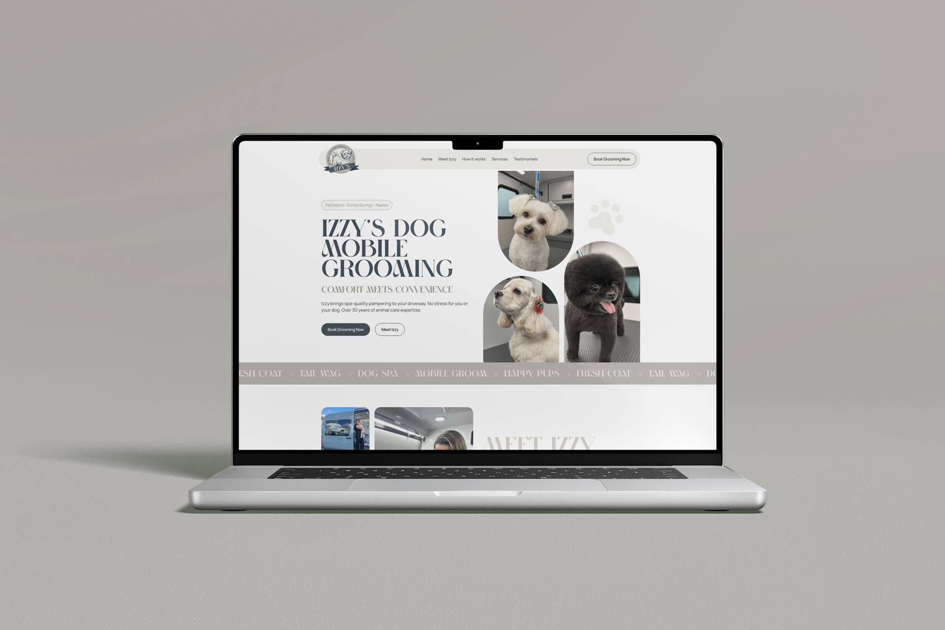 Site de agendamento que transforma tutores em clientes